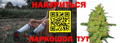 кокс Моздок