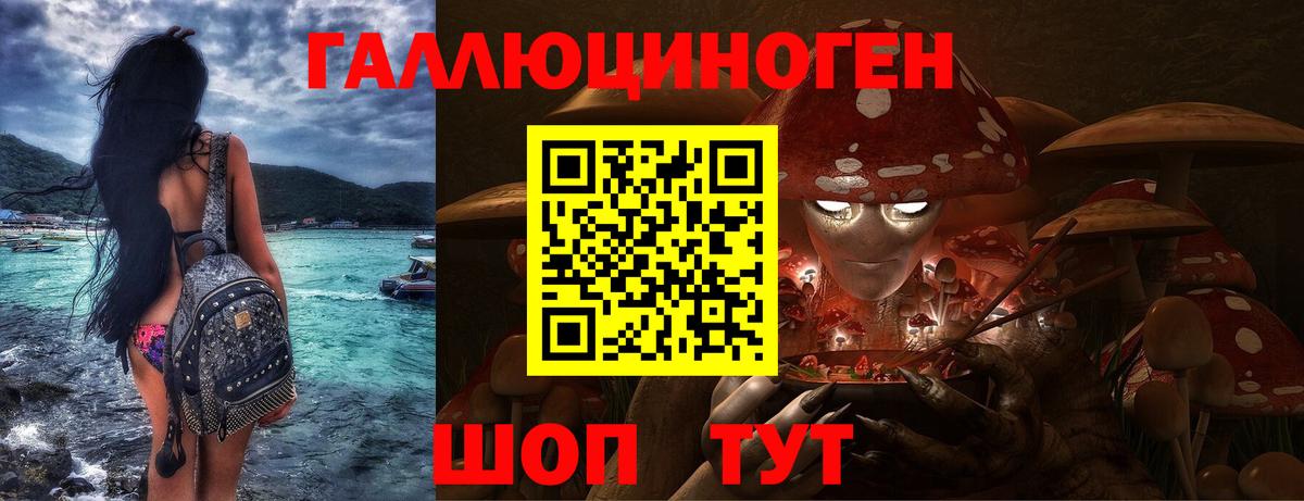 Чистополь  Псилоцибиновые грибы Magic Shrooms  Вход с VPN 
